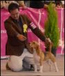 Gala del Imperio Canino
