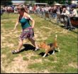 Gala del Imperio Canino