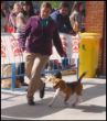 Gala del Imperio Canino